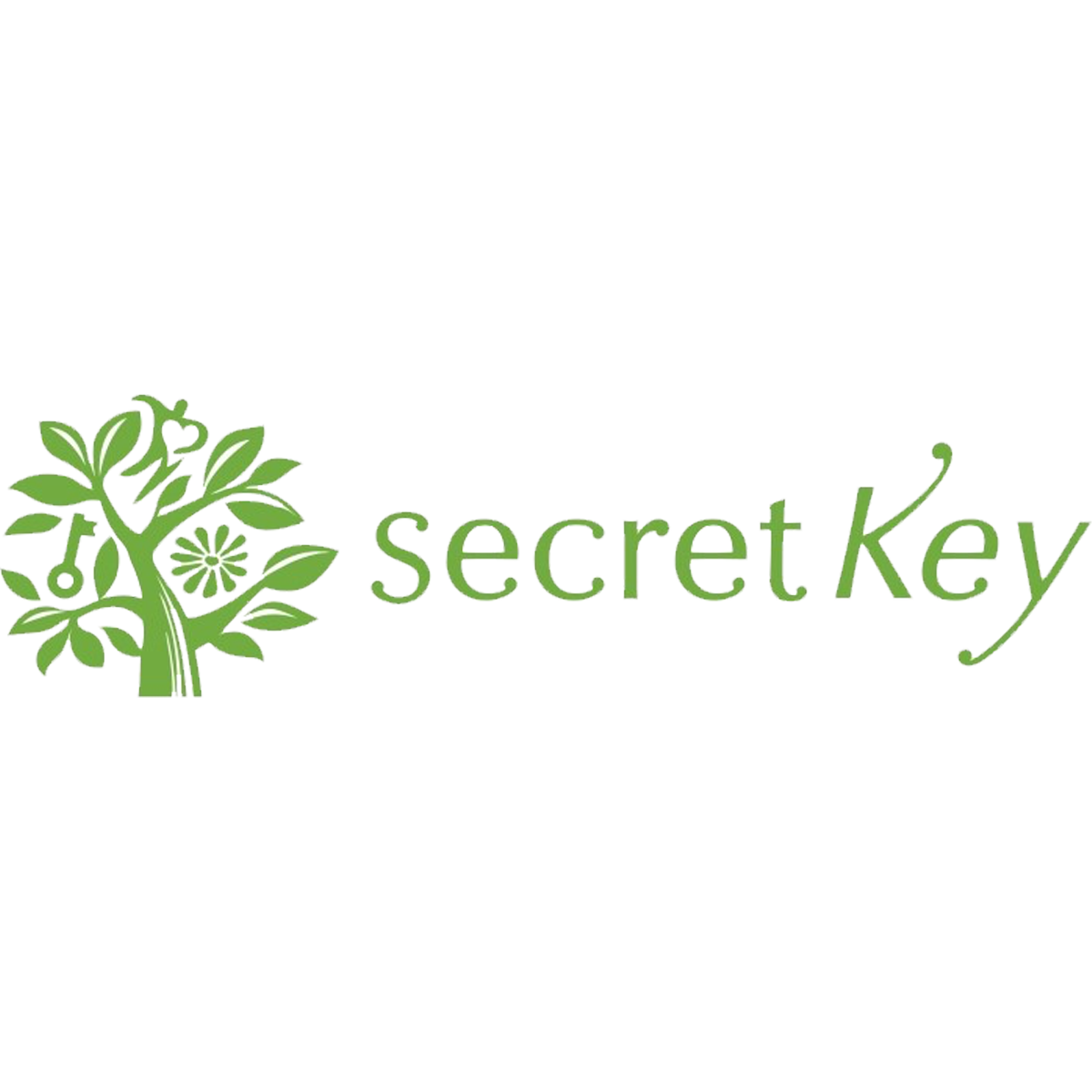 Category: Secret Key